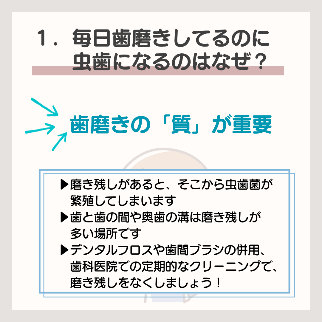 菊名,歯科,歯医者,歯科医院,歯科診療所,訪問歯科,小児歯科