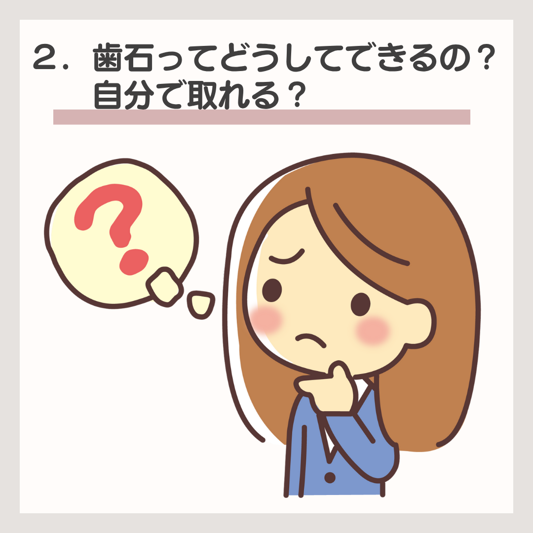 菊名,歯科,歯医者,歯科医院,歯科診療所,訪問歯科,小児歯科