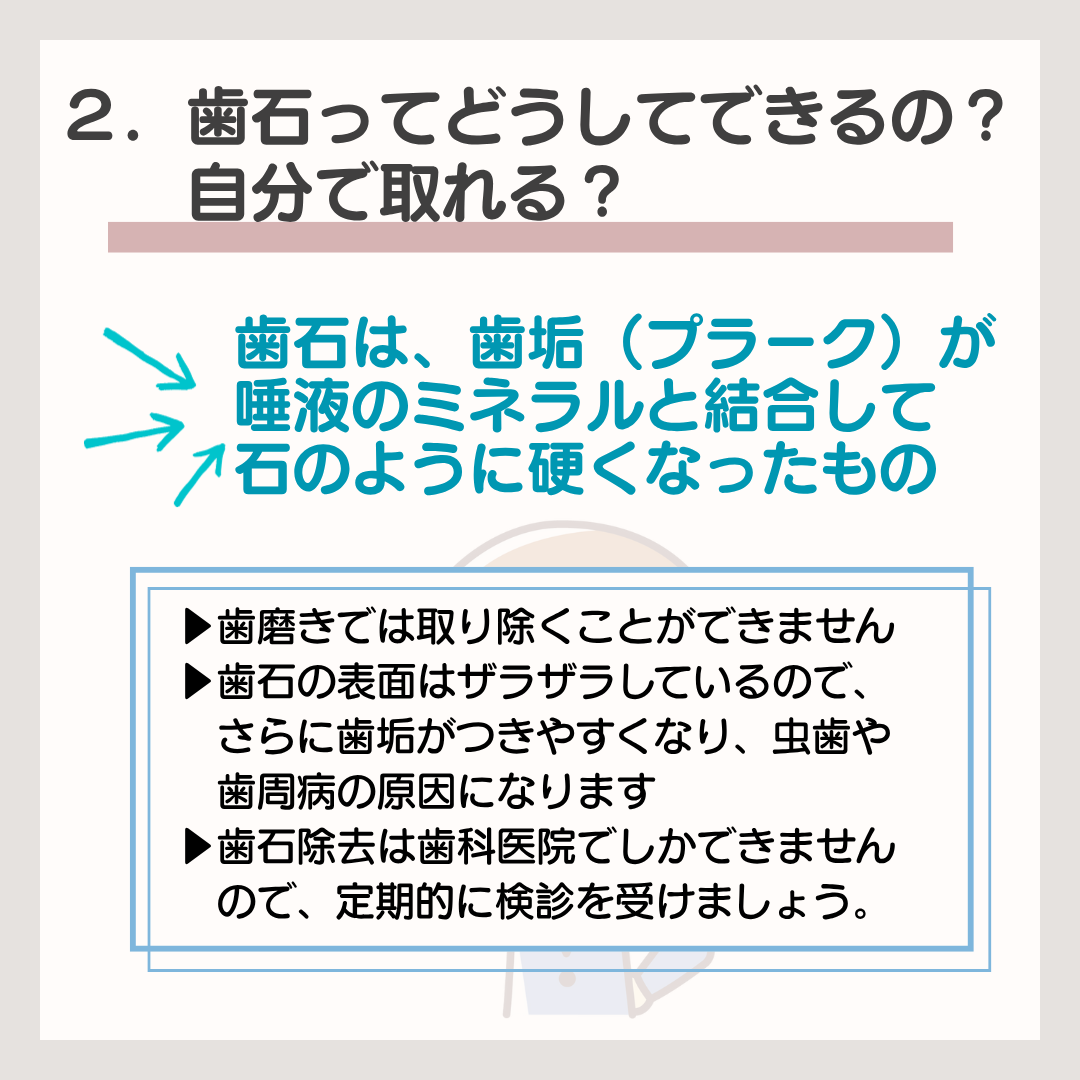 菊名,歯科,歯医者,歯科医院,歯科診療所,訪問歯科,小児歯科
